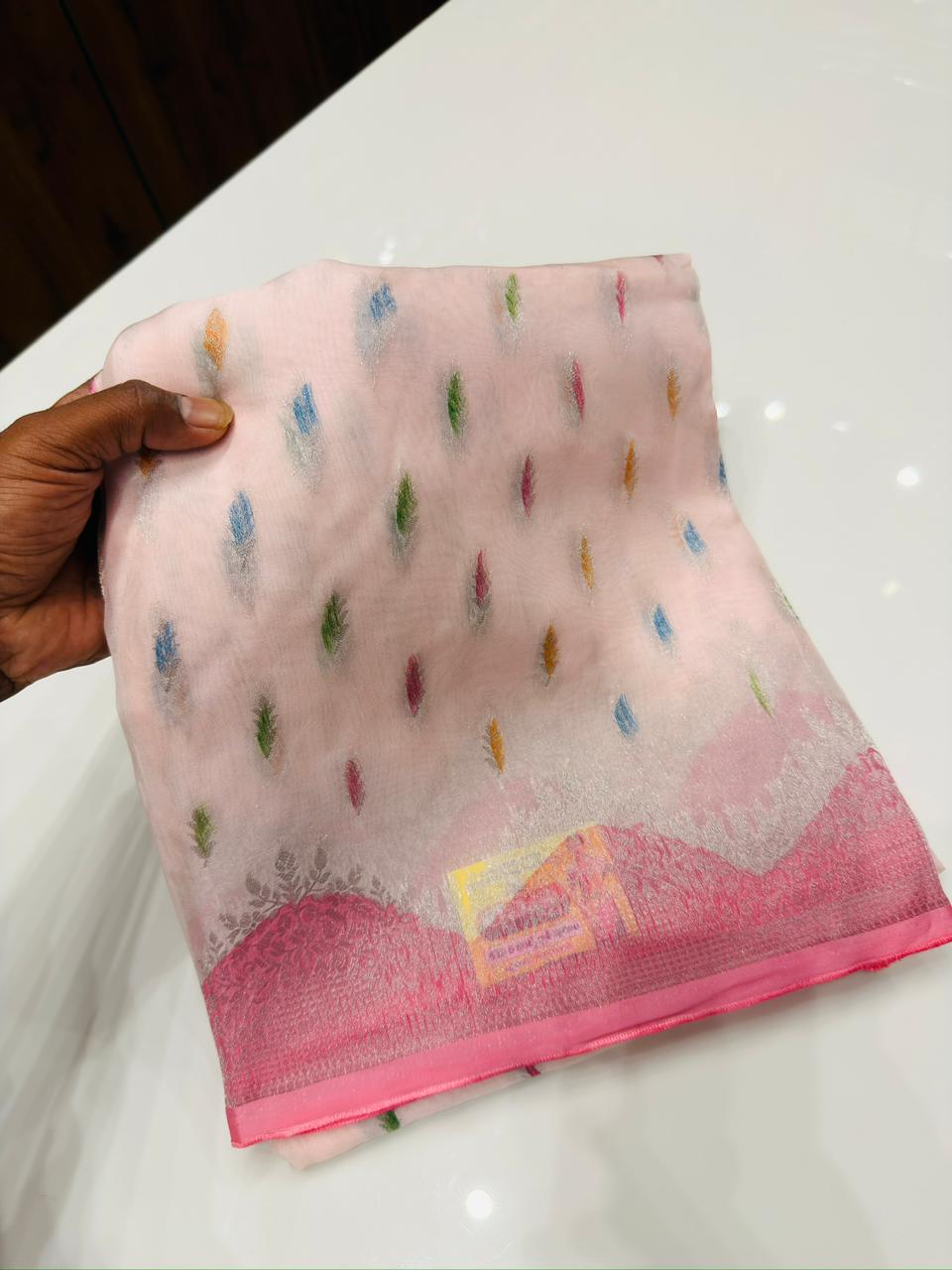 Traditional Organza Banarasi